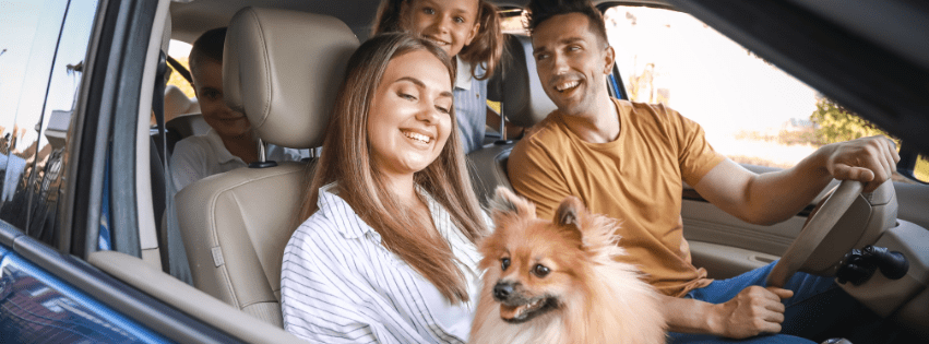 Viajar con Mascota